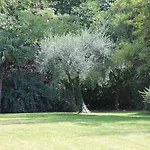 Abbamer Grottaferrata