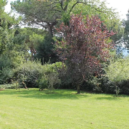 Bed and breakfast Abbamer Grottaferrata