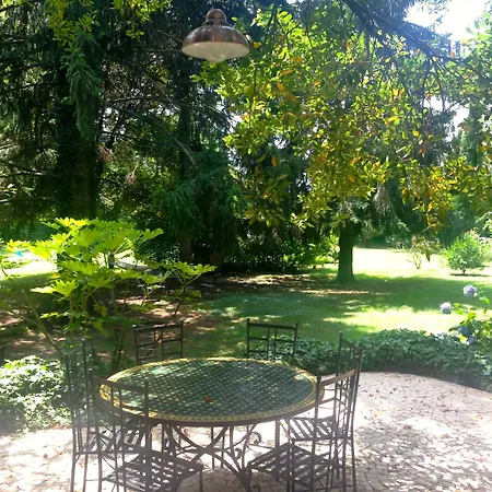 Abbamer Bed and breakfast Grottaferrata