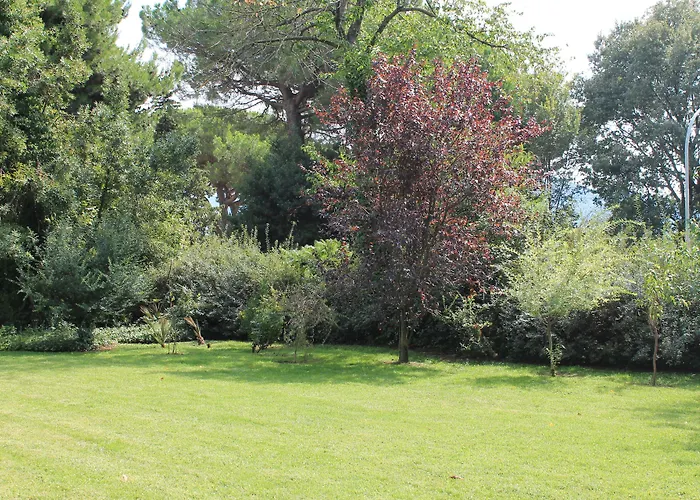 Bed and Breakfast Abbamer Grottaferrata