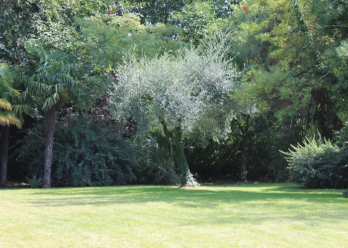 Abbamer Grottaferrata