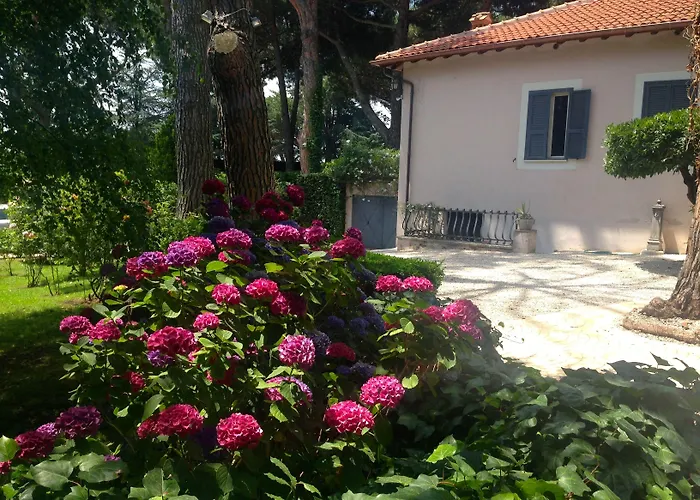Abbamer Bed and Breakfast Grottaferrata