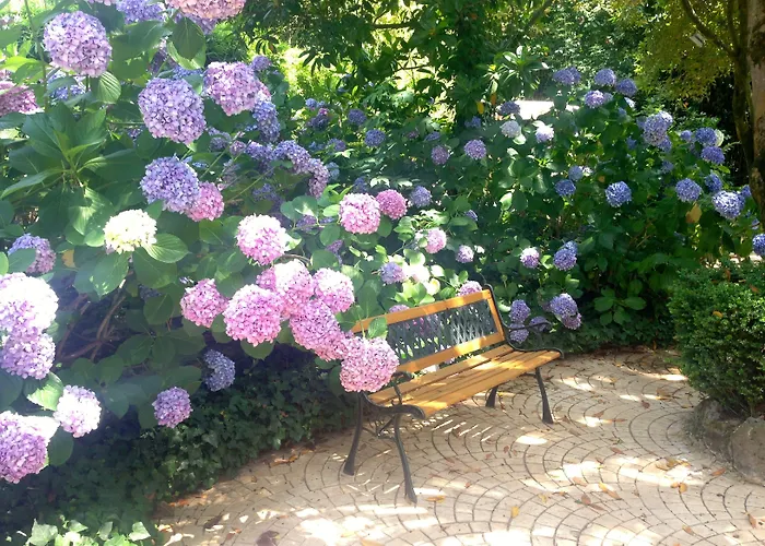 Bed and Breakfast Abbamer