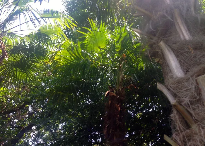 Abbamer 4* Grottaferrata