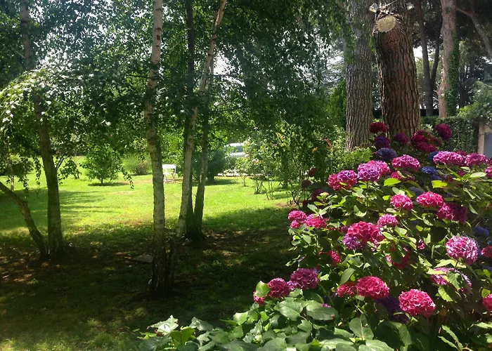 Abbamer Oda ve Kahvaltı