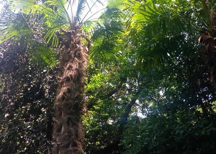 Abbamer Grottaferrata